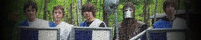 Photo guerrier